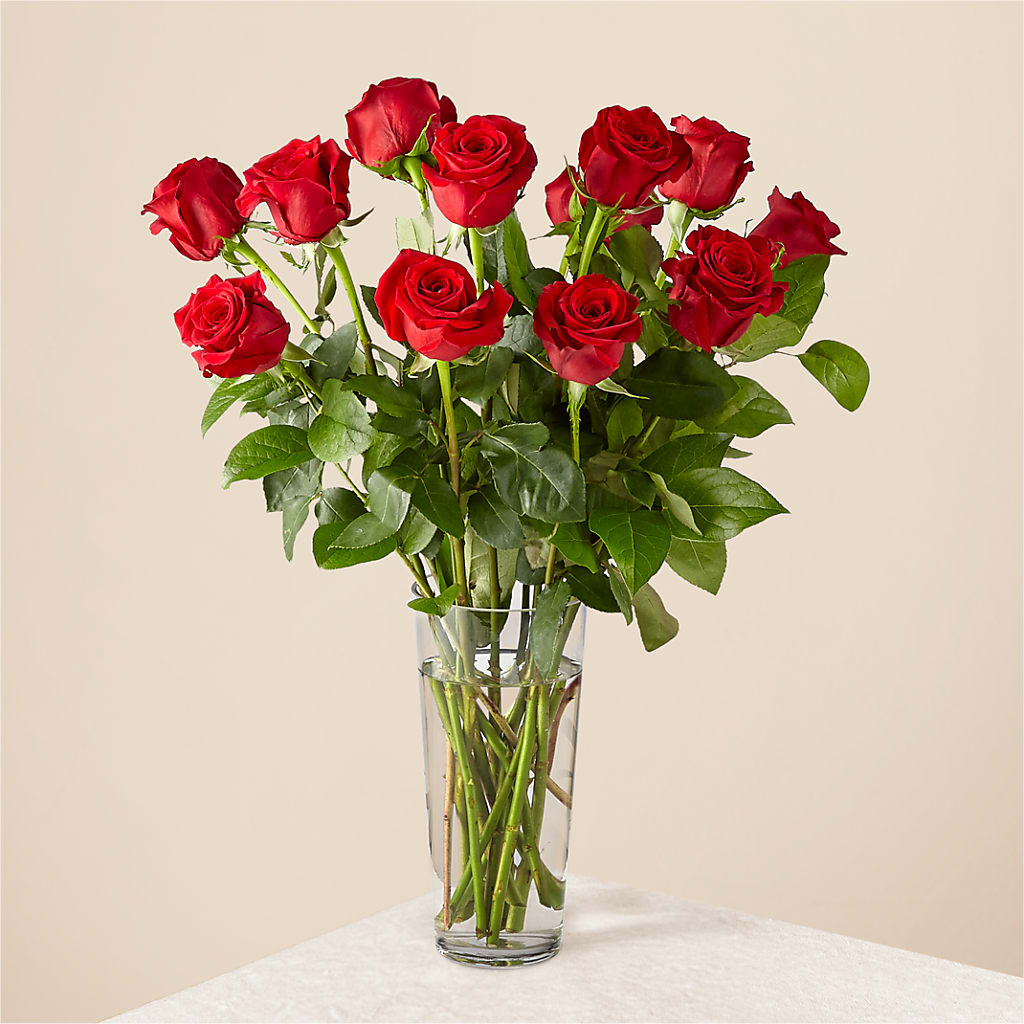 Long Stem Red Rose Bouquet – Mossholders Floral, Arvada CO