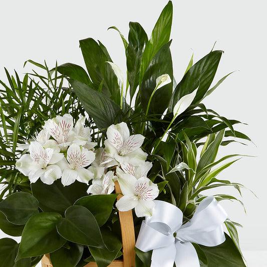 Peace & Serenity Dishgarden – Mossholders Floral, Arvada CO