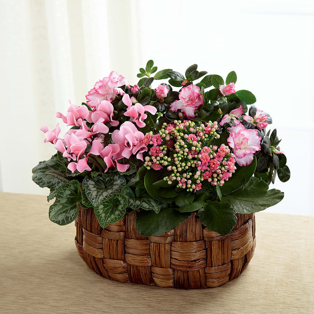 Pink Assortment – Mossholders Floral, Arvada CO