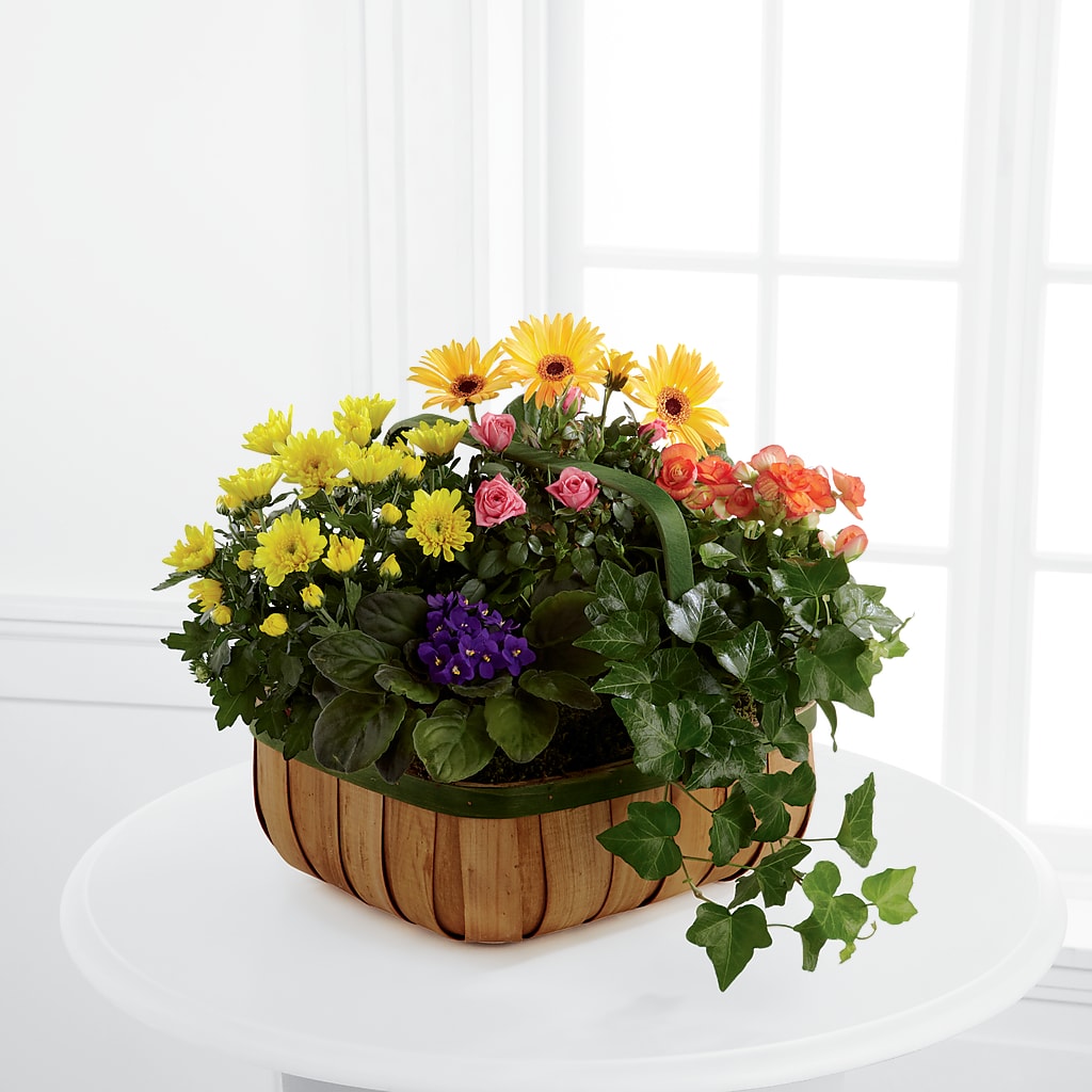 Gentle Blossoms Basket – Mossholders Floral, Arvada CO