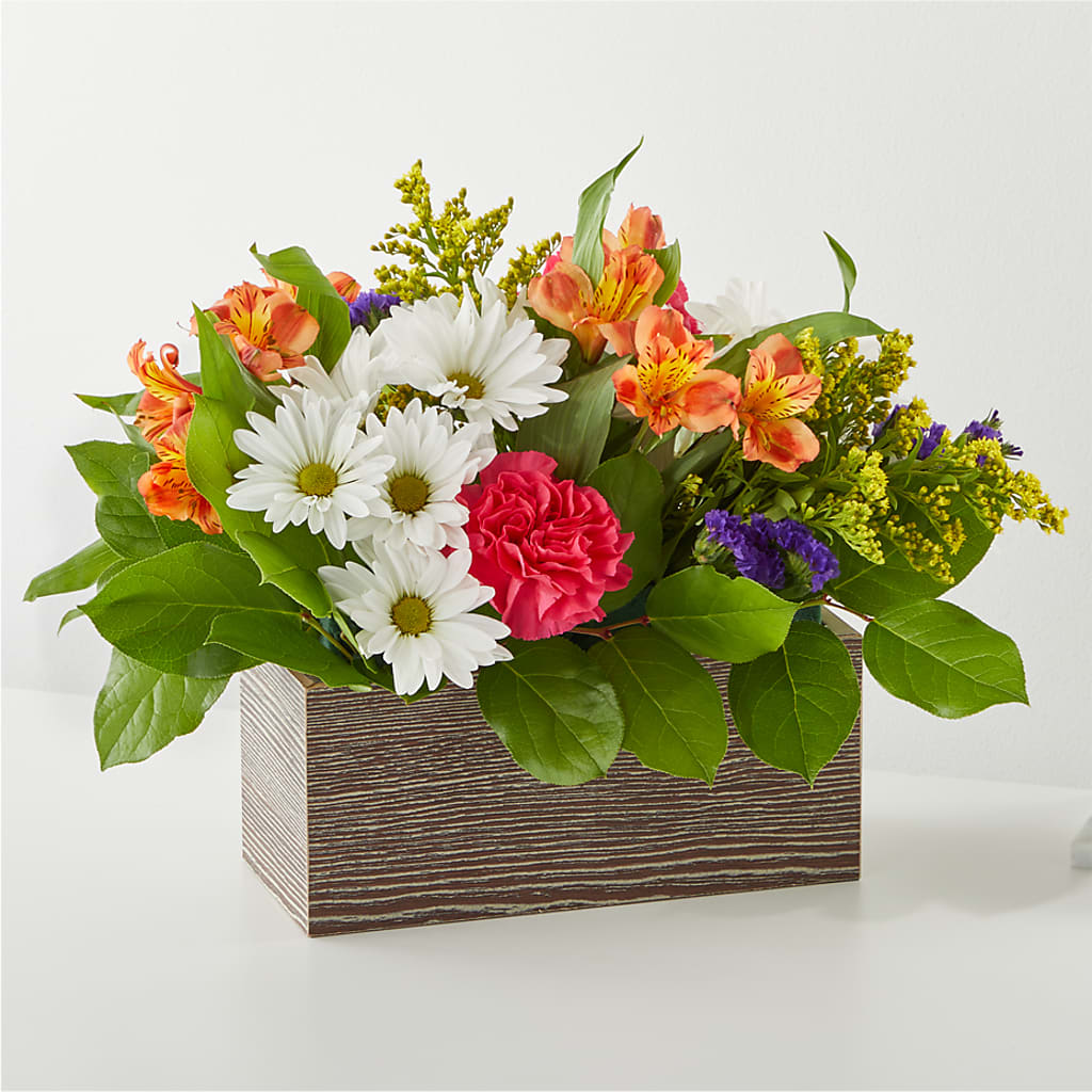 Oopsie Daisy Box Bouquet – Mossholders Floral, Arvada CO