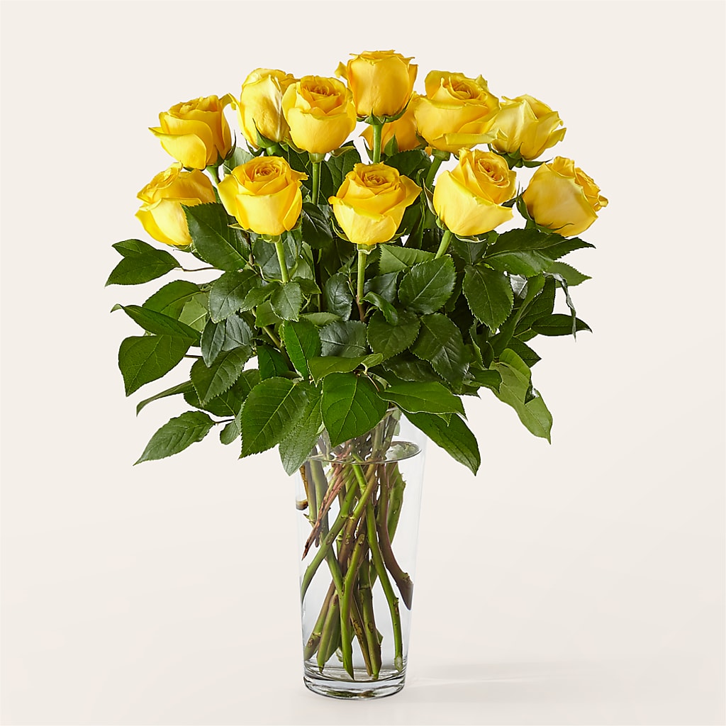 Long Stem Yellow Rose Bouquet – Mossholders Floral, Arvada CO