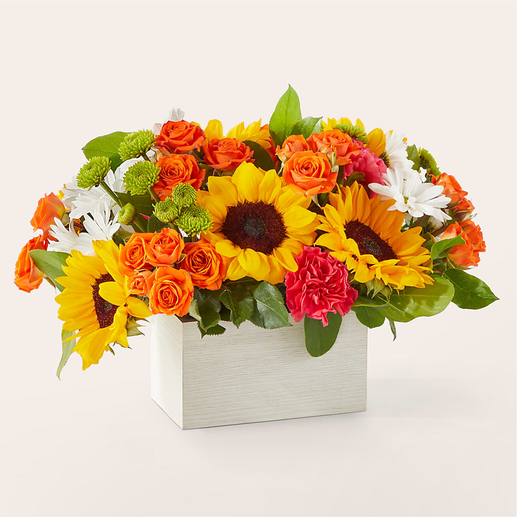 Sun-drenched Blooms Box Bouquet – Mossholders Floral, Arvada CO
