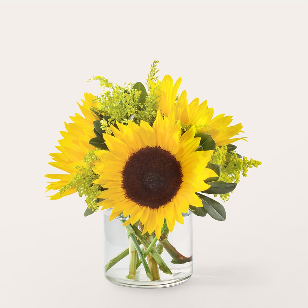 Beaming Sunflower Bouquet – Mossholders Floral, Arvada CO