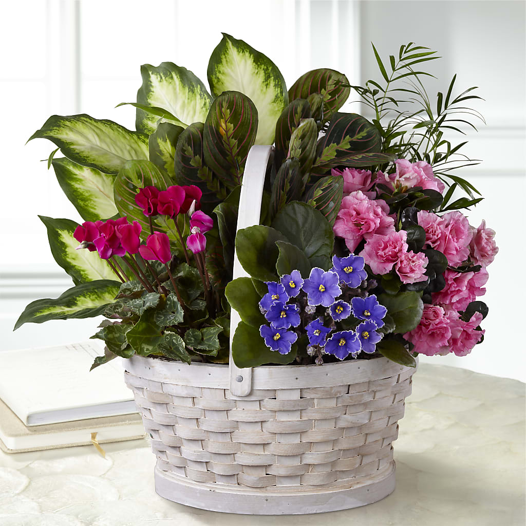 Peaceful Garden Planter – Mossholders Floral, Arvada CO