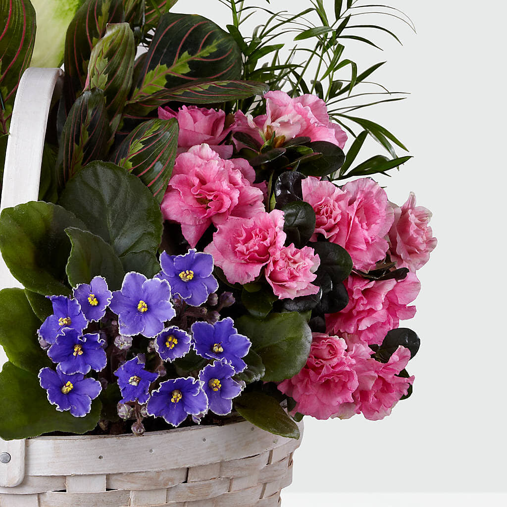 Peaceful Garden Planter – Mossholders Floral, Arvada CO