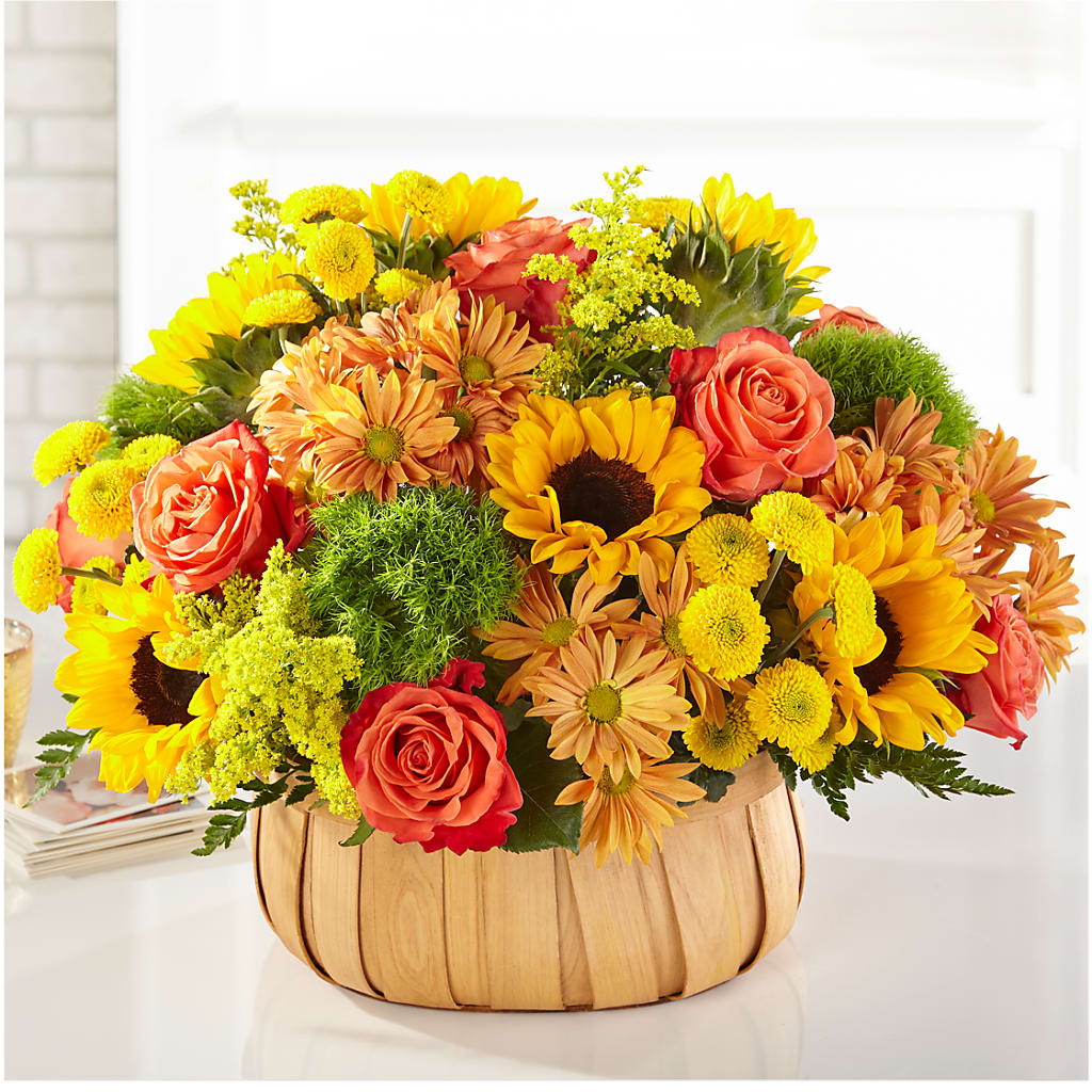 Harvest Sunflower Basket – Mossholders Floral, Arvada CO