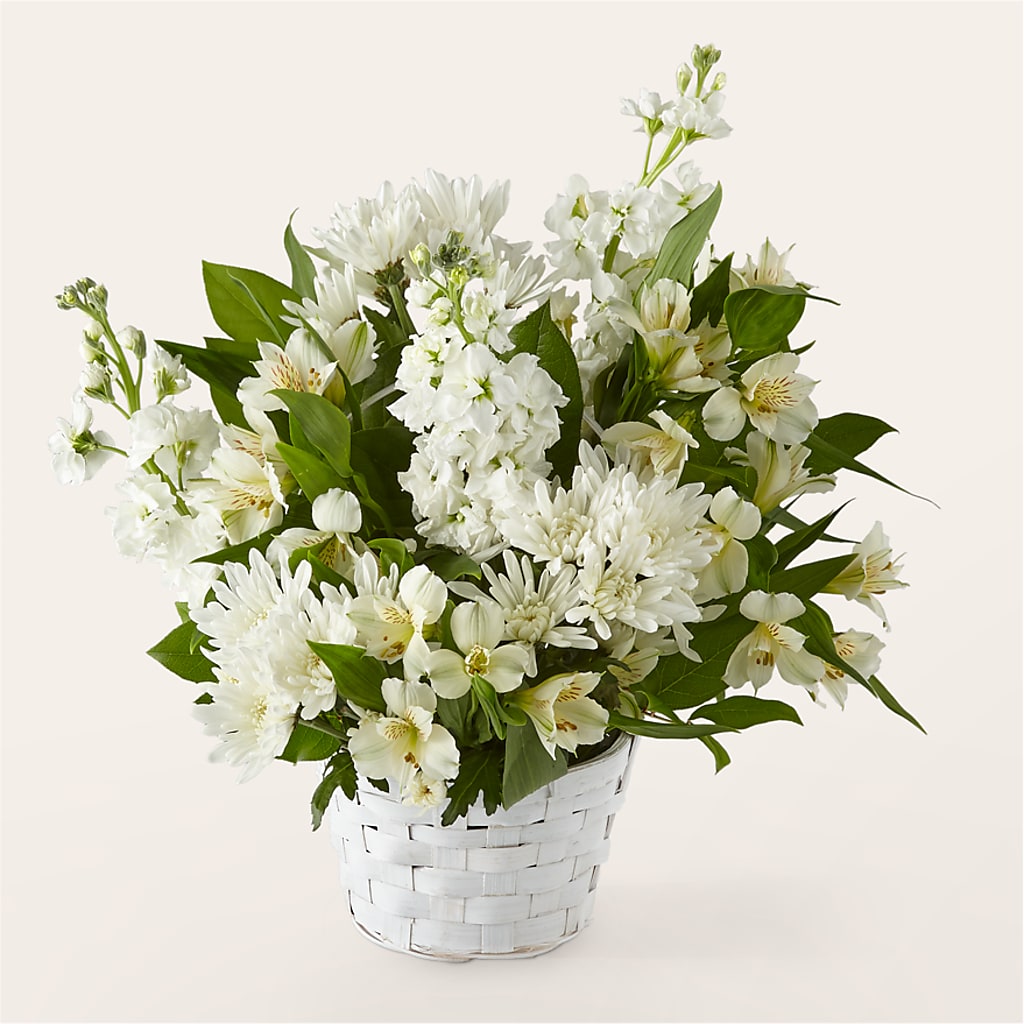 Eternal Affection Arrangement – Mossholders Floral, Arvada CO