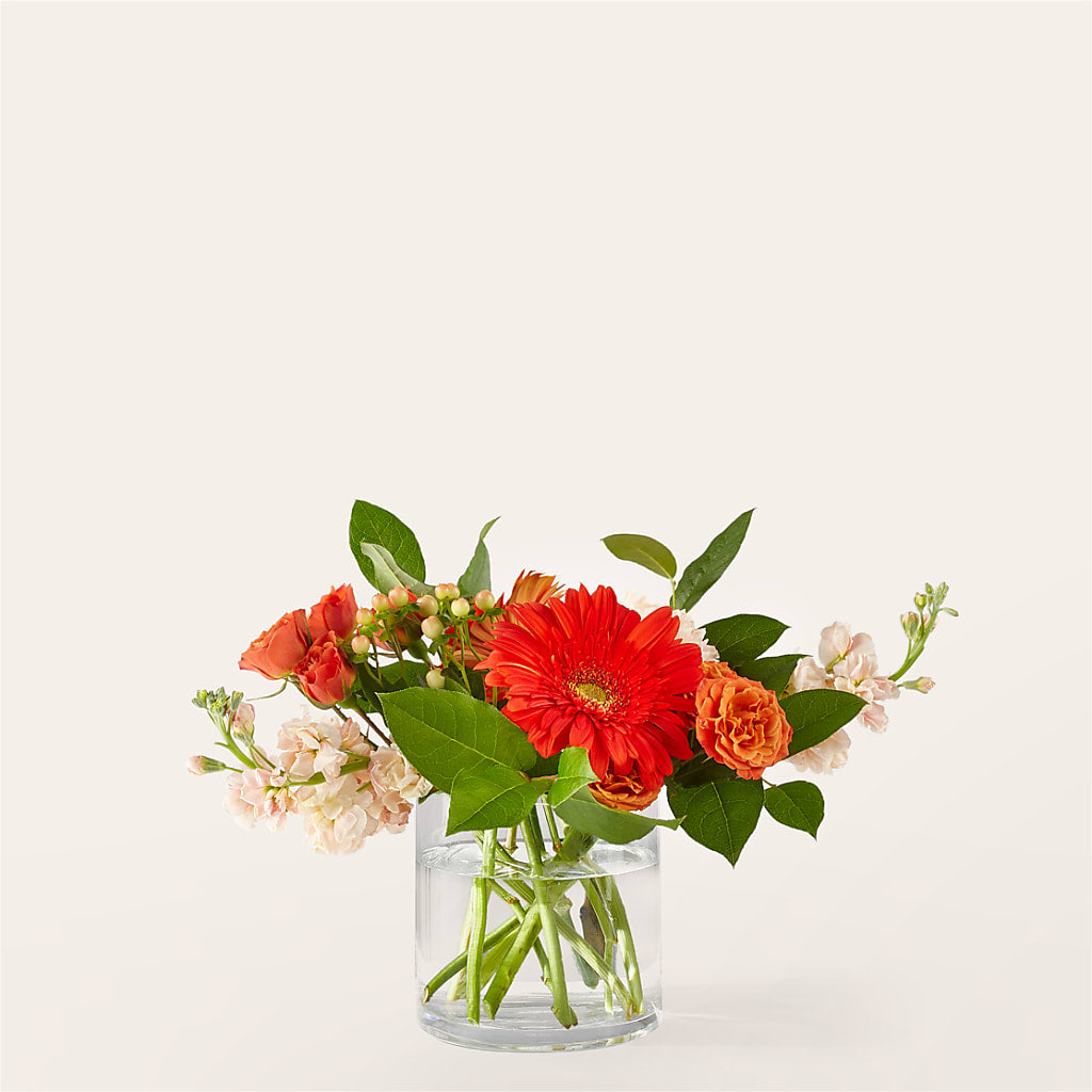 Paloma Please Bouquet – Mossholders Floral, Arvada CO