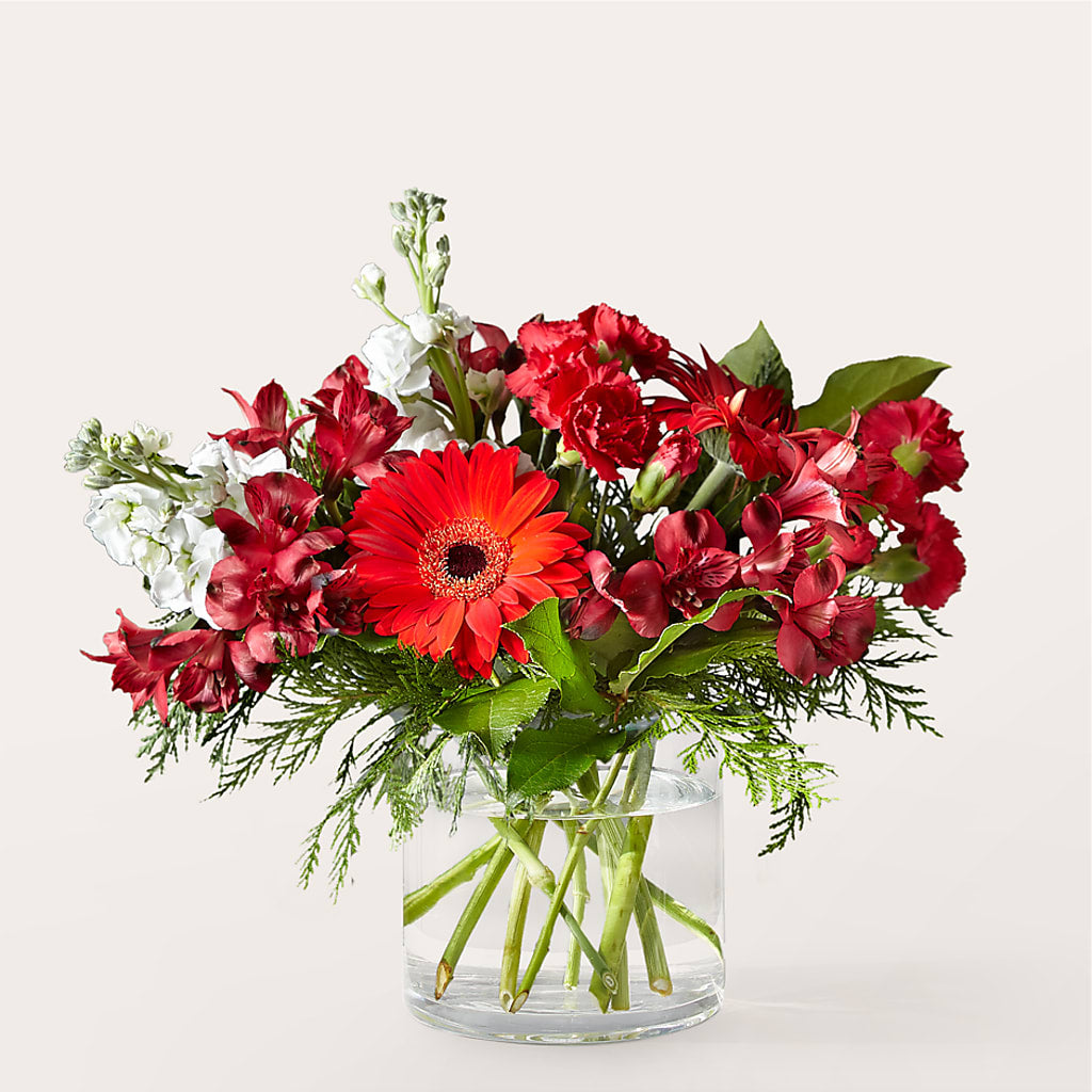 Holidaisy Bouquet – Mossholders Floral, Arvada CO