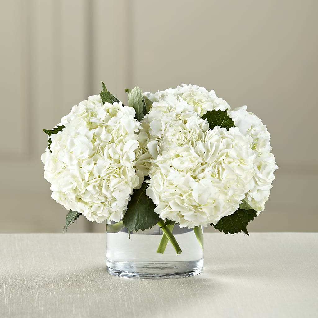White Hydrangea Bouquet – Mossholders Floral, Arvada CO