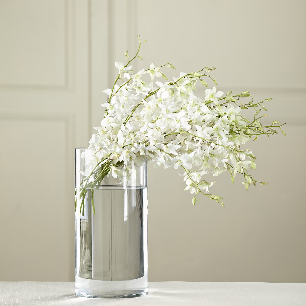White Dendrobium Bouquet – Mossholders Floral, Arvada CO