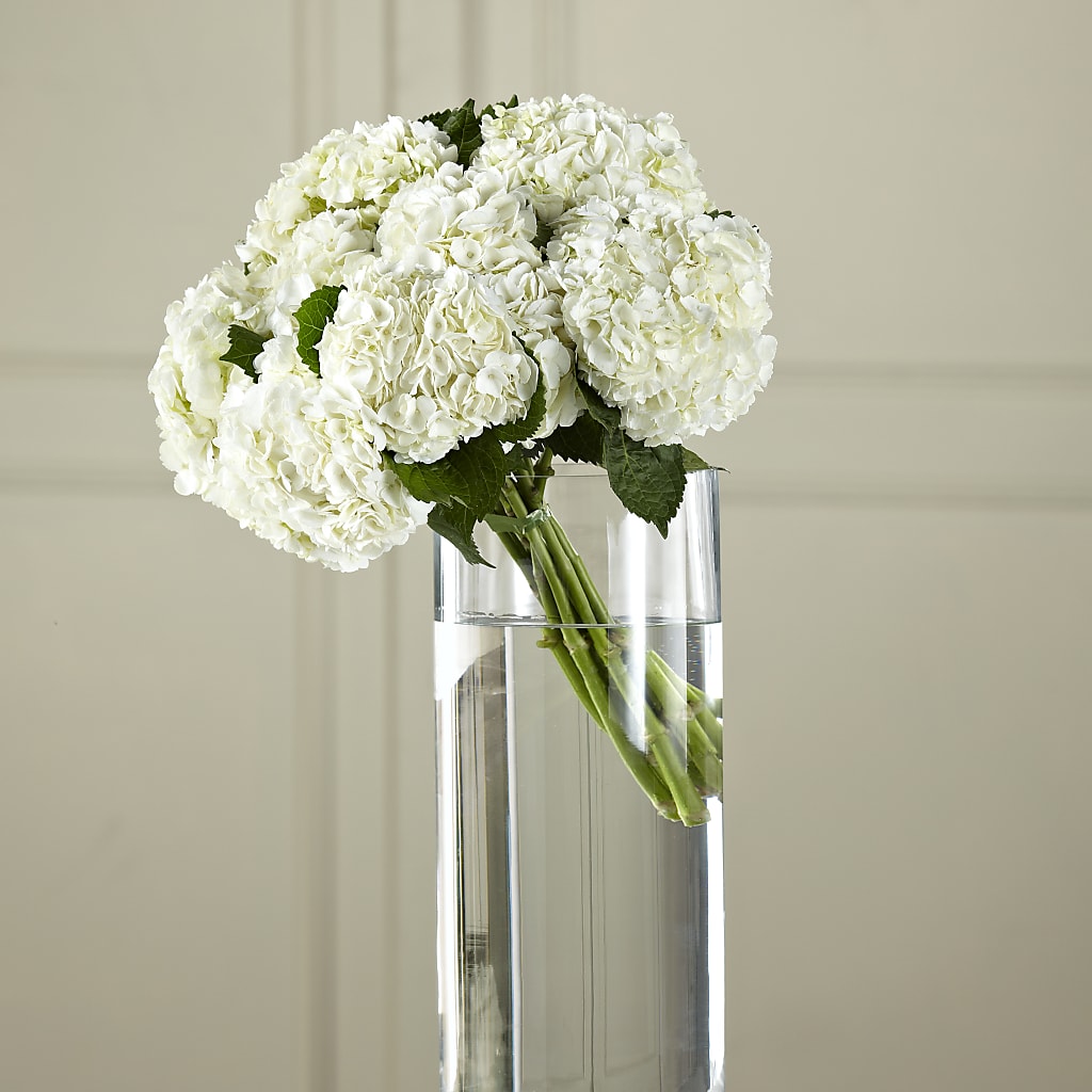 White Hydrangea Hand-Tied Bouquet – Mossholders Floral, Arvada CO