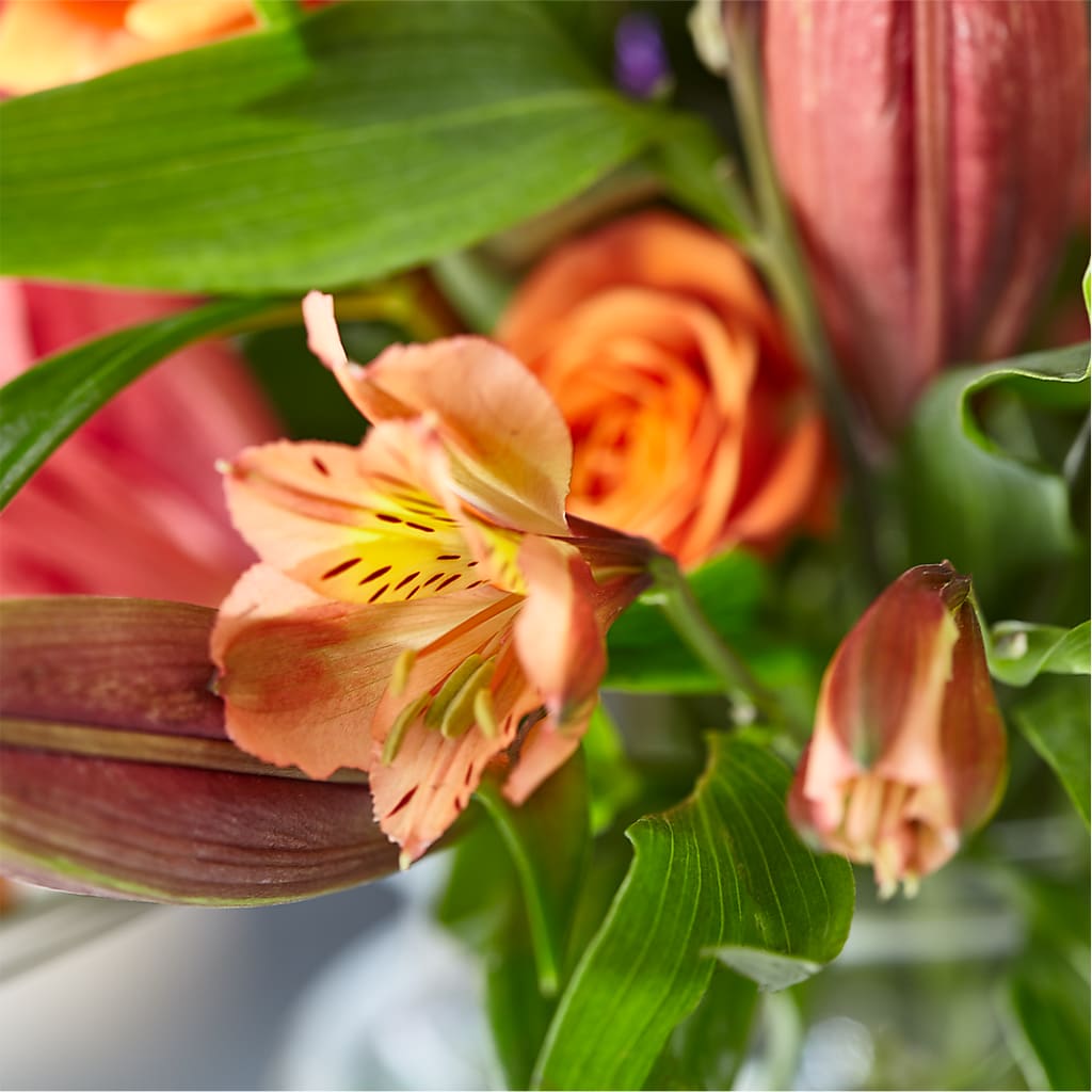 Bold & Bright – A Florist Original –  Mossholders Floral, Arvada CO