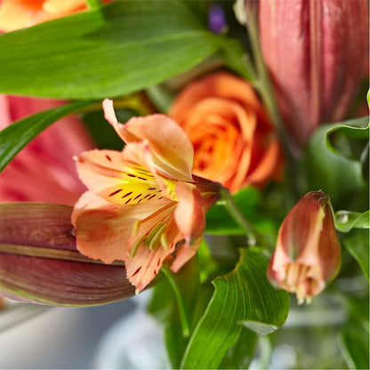 Bold & Bright – A Florist Original –  Mossholders Floral, Arvada CO