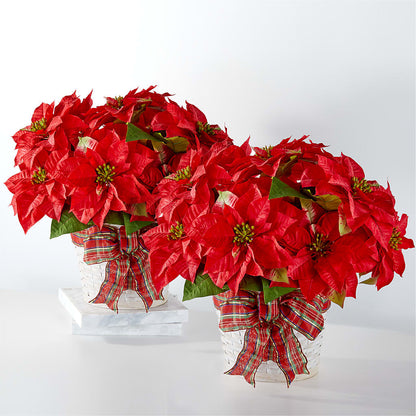 Happiest Holidays Poinsettia Bundle –  Mossholders Floral, Arvada CO