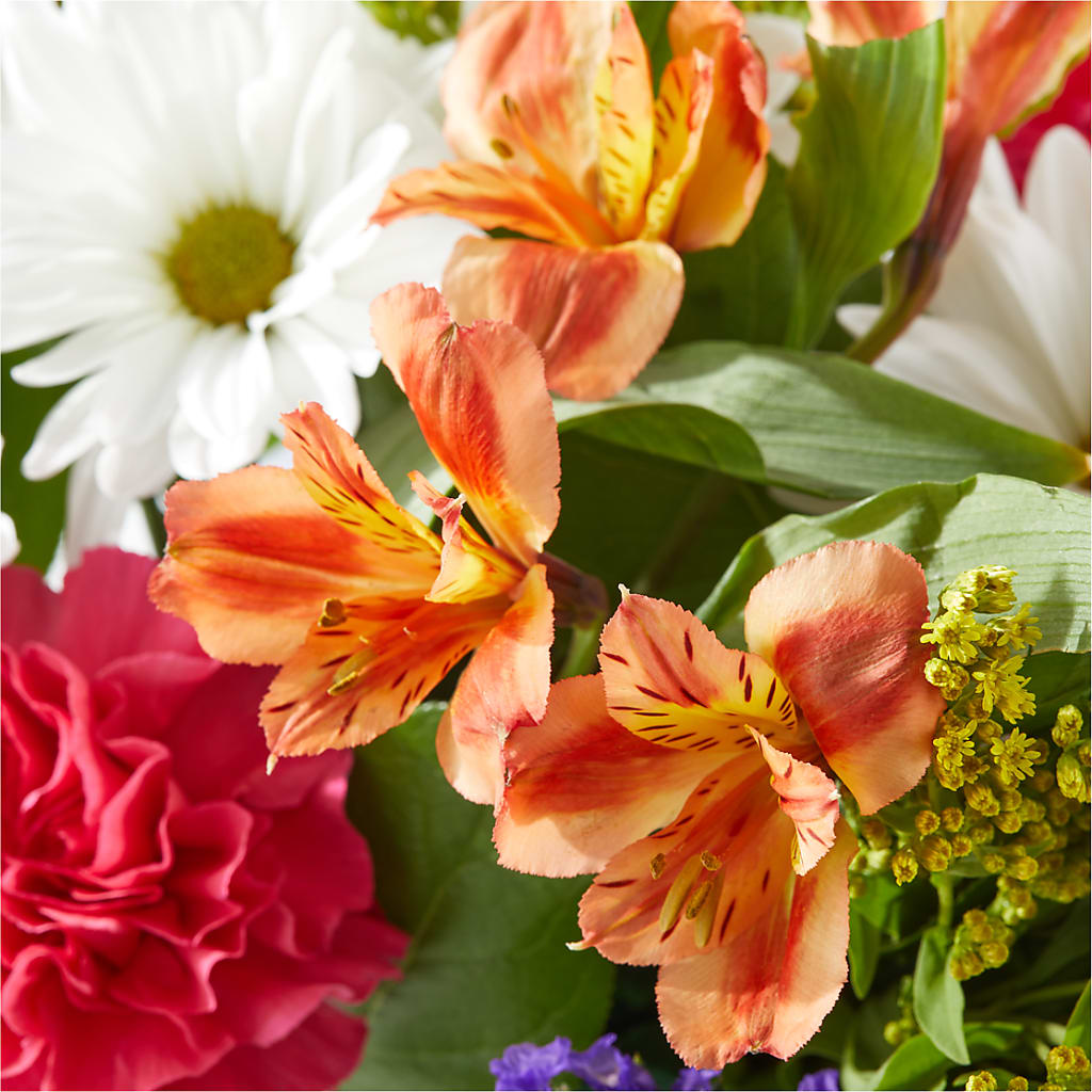 Oopsie Daisy Box Bouquet –  Mossholders Floral, Arvada CO