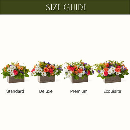 Oopsie Daisy Box Bouquet –  Mossholders Floral, Arvada CO