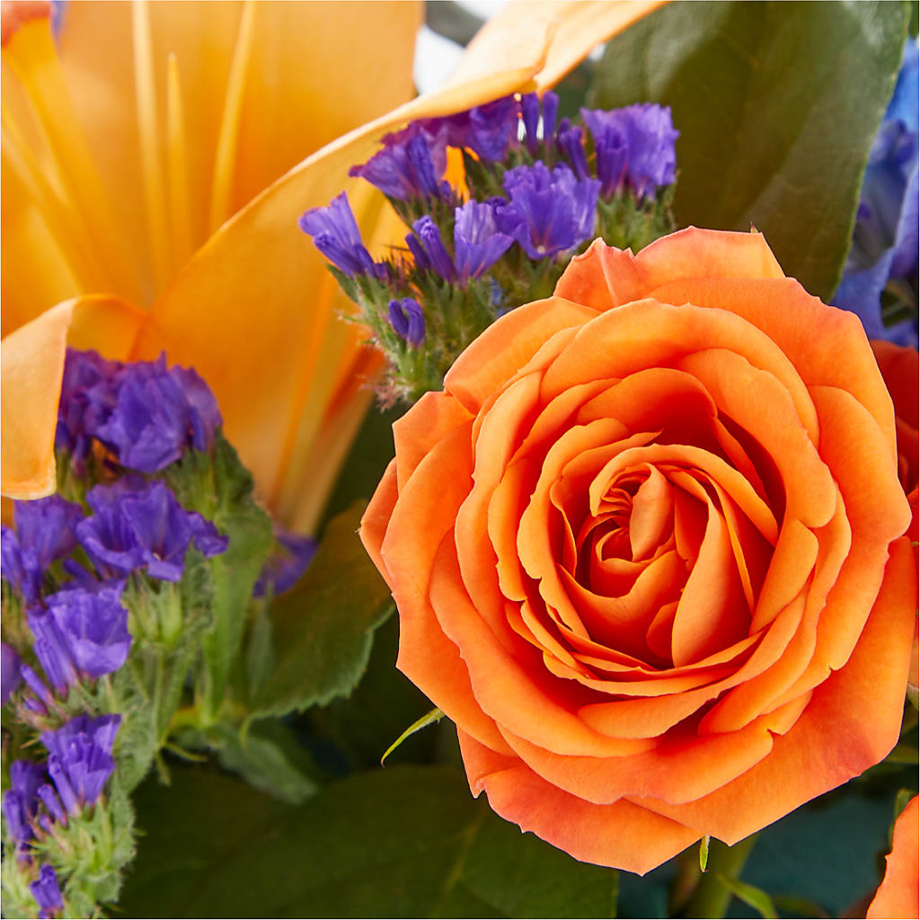 Radiant Citrus Box Bouquet –  Mossholders Floral, Arvada CO