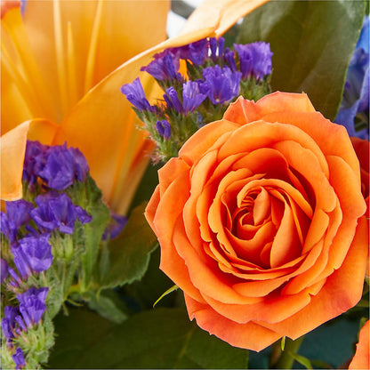 Radiant Citrus Box Bouquet –  Mossholders Floral, Arvada CO