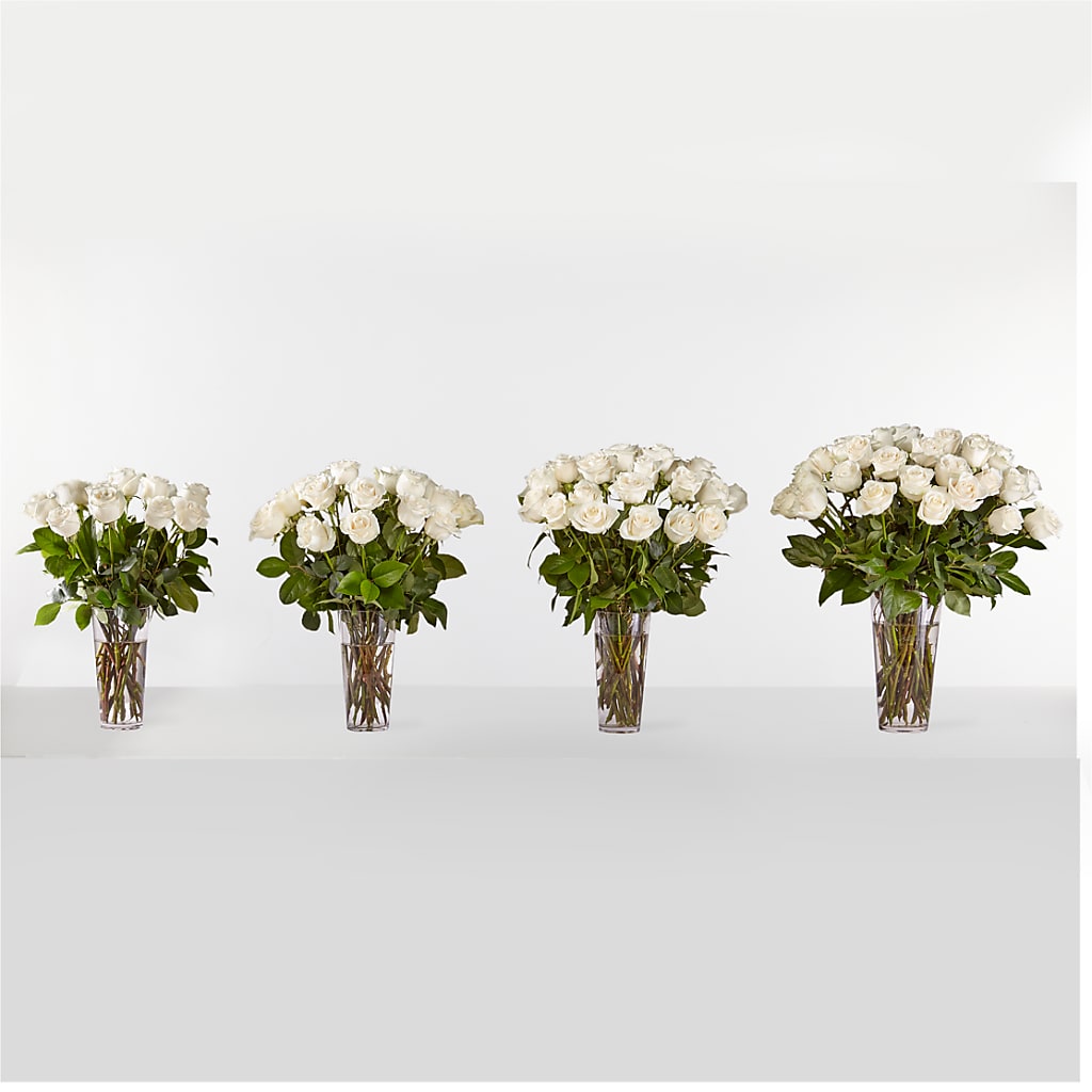 Long Stem White Rose Bouquet –  Mossholders Floral, Arvada CO