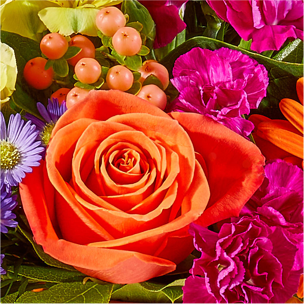 Tricks & Treats Pumpkin –  Mossholders Floral, Arvada CO