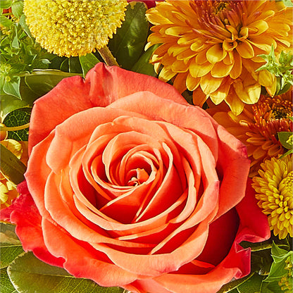 Gourdgeous Pumpkin –  Mossholders Floral, Arvada CO