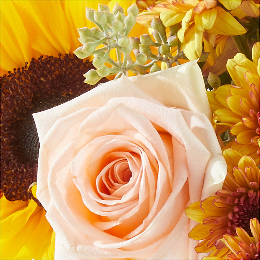 Pumpkin to Talk About Bouquet –  Mossholders Floral, Arvada CO