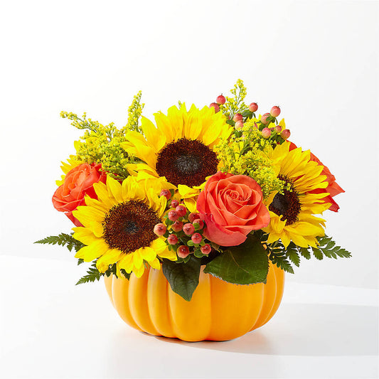 Pick of the Patch Pumpkin Bouquet –  Mossholders Floral, Arvada CO