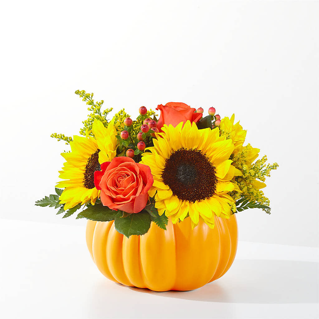 Pick of the Patch Pumpkin Bouquet –  Mossholders Floral, Arvada CO