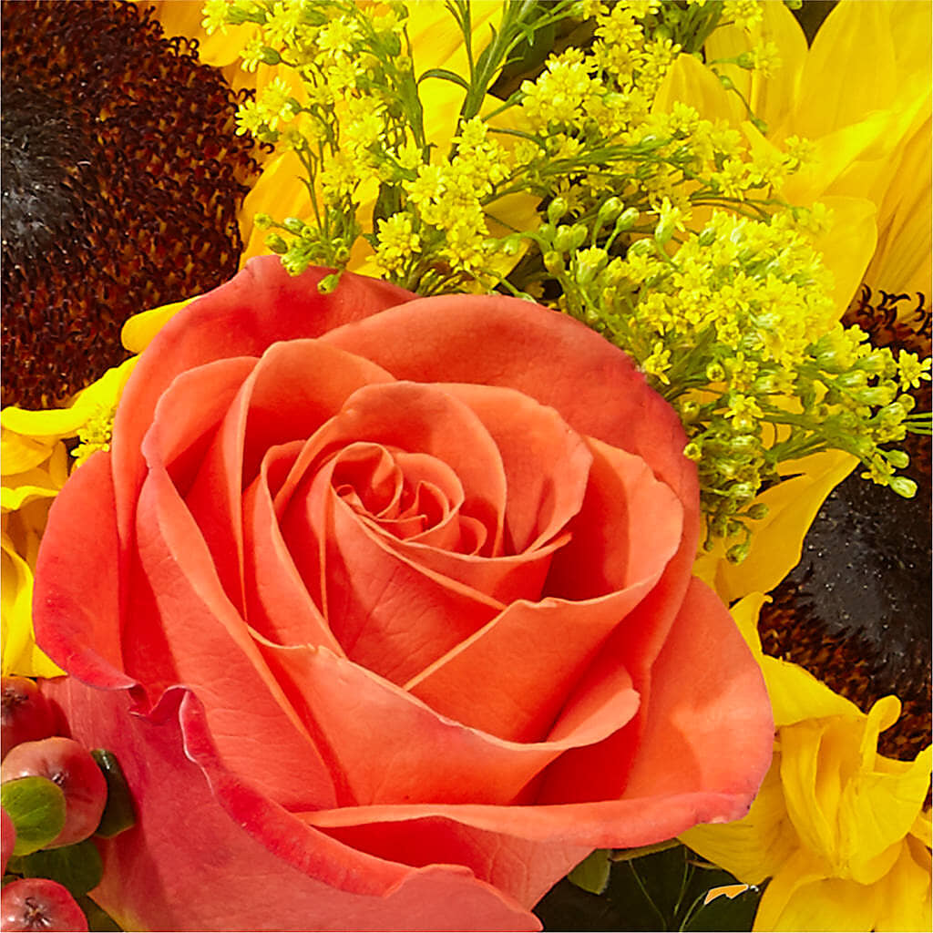 Pick of the Patch Pumpkin Bouquet –  Mossholders Floral, Arvada CO