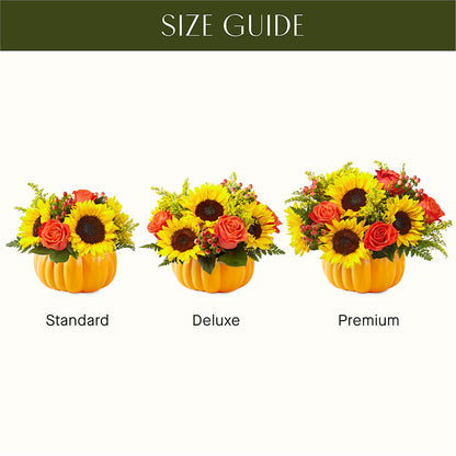 Pick of the Patch Pumpkin Bouquet –  Mossholders Floral, Arvada CO
