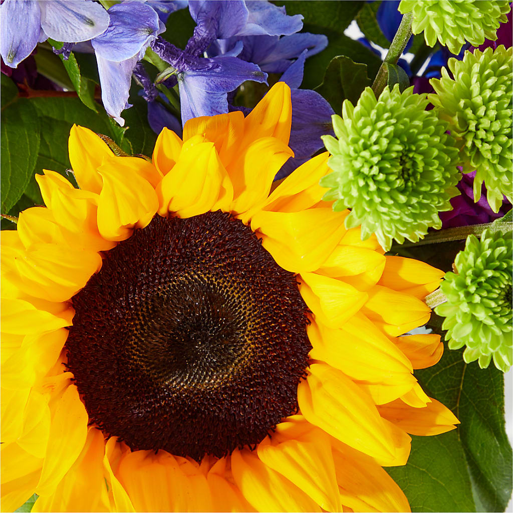 Catching Rays Bouquet –  Mossholders Floral, Arvada CO