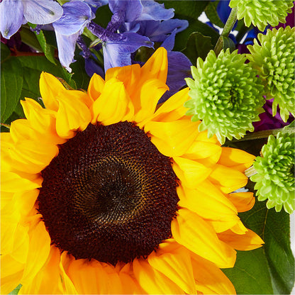 Catching Rays Bouquet –  Mossholders Floral, Arvada CO