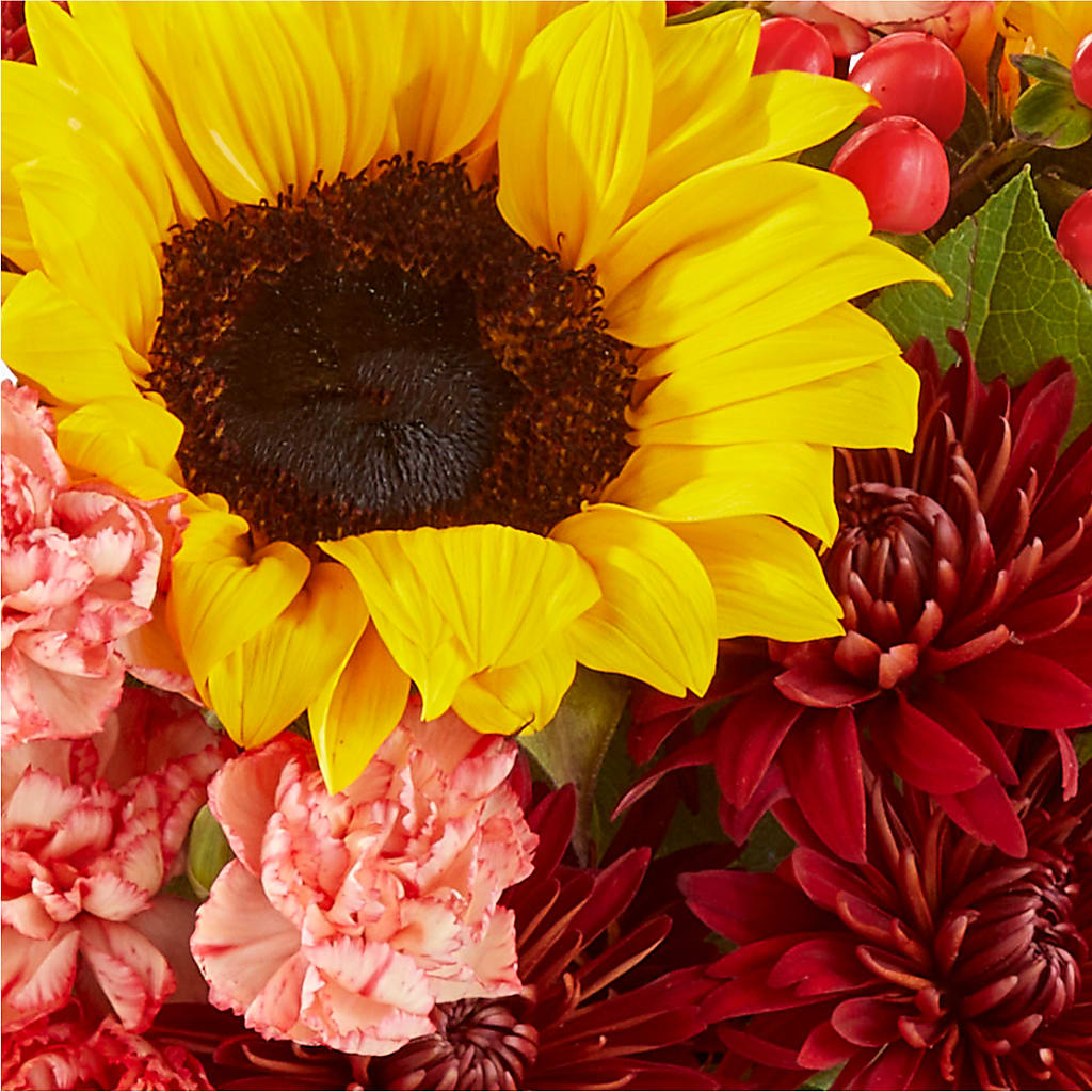 Fresh Cider Bouquet –  Mossholders Floral, Arvada CO