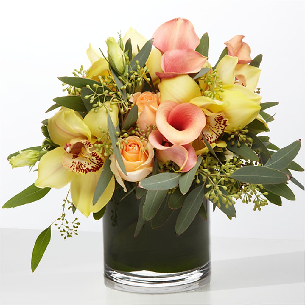 The Visionary