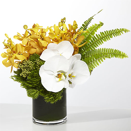 The Tropics –  Mossholders Floral, Arvada CO