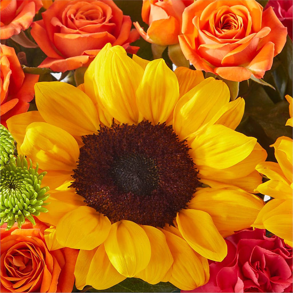 Sun-drenched Blooms Box Bouquet –  Mossholders Floral, Arvada CO