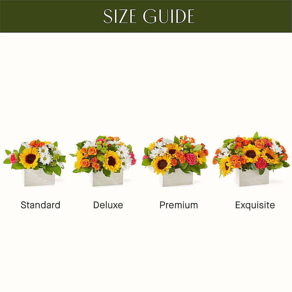 Sun-drenched Blooms Box Bouquet –  Mossholders Floral, Arvada CO