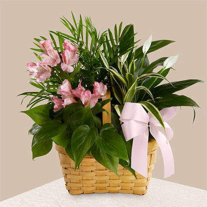 Living Spirit Dishgarden –  Mossholders Floral, Arvada CO