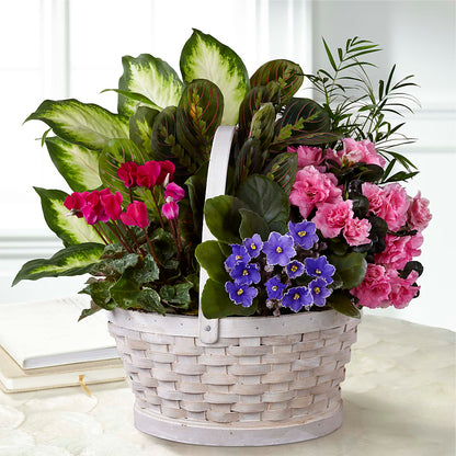 Peaceful Garden Planter –  Mossholders Floral, Arvada CO