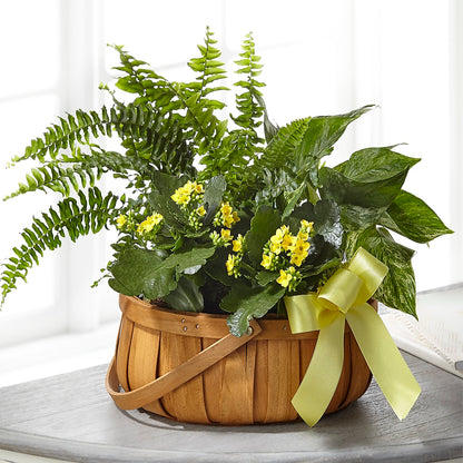 Always Dear Dishgarden –  Mossholders Floral, Arvada CO