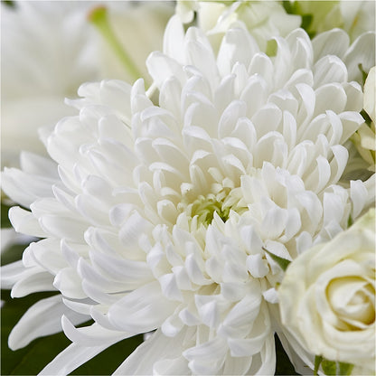 Classic Ivory – A Florist Original –  Mossholders Floral, Arvada CO