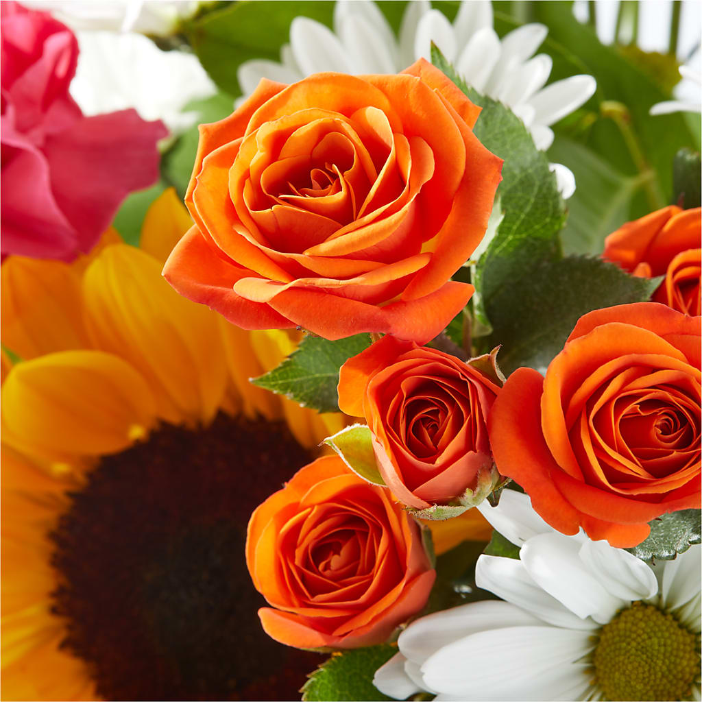 Sun-drenched Blooms Bouquet –  Mossholders Floral, Arvada CO
