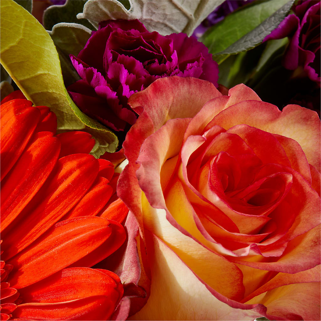 Sangria Bouquet –  Mossholders Floral, Arvada CO