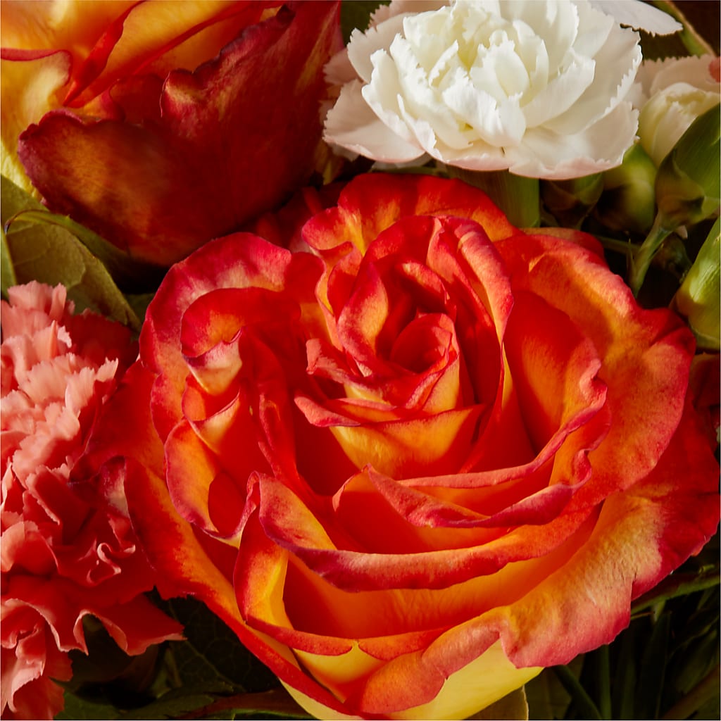 Apricot Glow Bouquet –  Mossholders Floral, Arvada CO