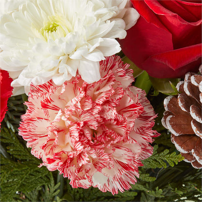 Candy Cane Lane Bouquet –  Mossholders Floral, Arvada CO