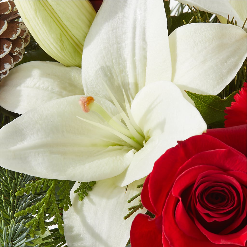 Oh So Jolly Bouquet –  Mossholders Floral, Arvada CO