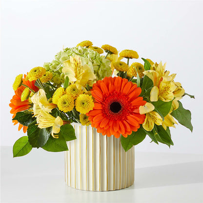 Autumn Sunshine Bouquet with Ivory Vase –  Mossholders Floral, Arvada CO