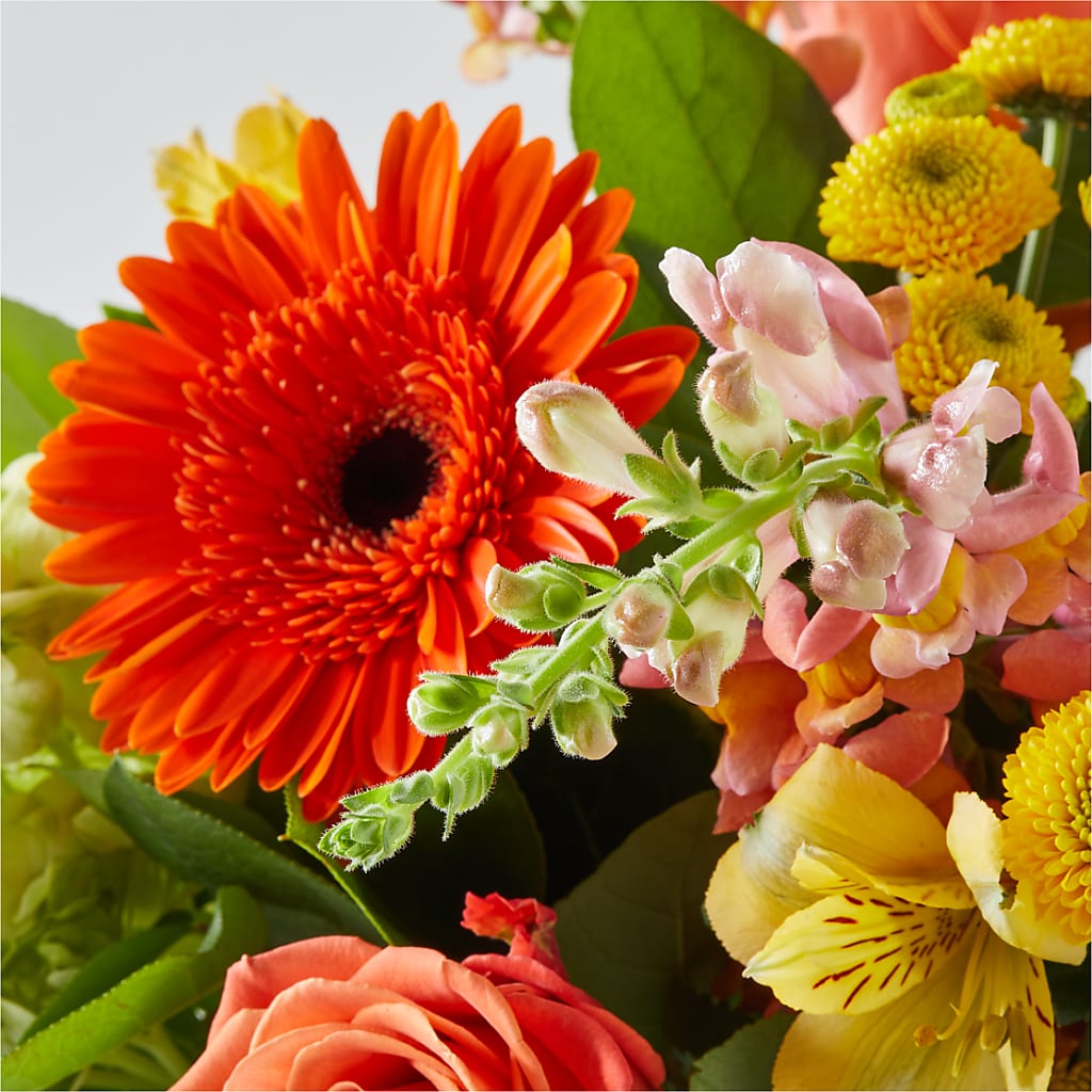 Autumn Sunshine Bouquet –  Mossholders Floral, Arvada CO